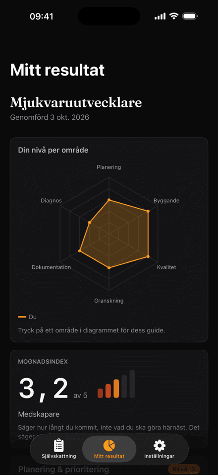 nivå-appen med ett resultat: en radar med nivån per område och mognadsindexet